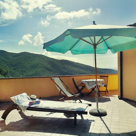 Casale Pundarika Guest House Riparbella Ngoại thất bức ảnh